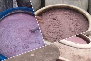 Vietnam’s OCOP shrimp paste exported to Japan and Australia