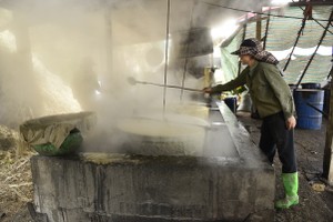 Residents in Northern province busy preparing molasses for Lunar New Year market