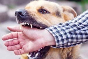 Some diseases have high number of cases and deaths in 2023: Ministry