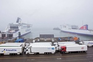 Embassy ready for citizen protection measures in Rosslare port