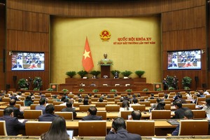 NA approves US$101,476,544 for electricity supply in Con Dao District