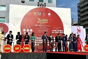 Vietnamese in Netherlands, Japan celebrate Tet