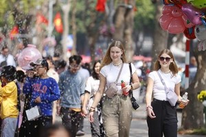 Localities enjoy rise in foreign visitors: VNAT