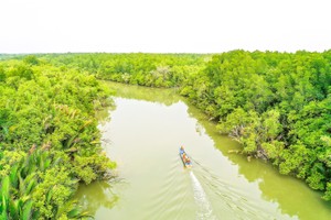 HCMC moving towards green and sustainable development