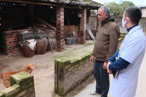 Ministry announces dramatic increase in rabies deaths