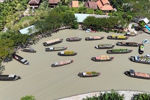 Development of tourism industry in Mekong Delta not as expected