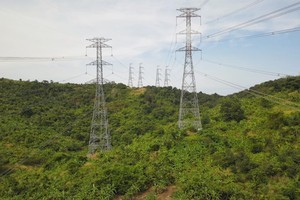 Vietnam to invest in two industrial service facilities for renewable energy