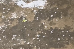 Central mountainous district hit by hailstones after heatwave