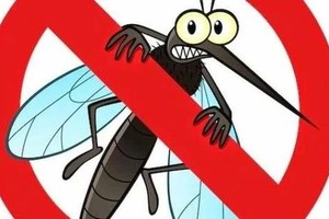 Ho Chi Minh City recognized as a malaria-free locality in 2020