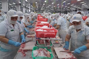 New transformation of industries in Mekong Delta