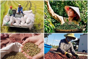 Coffee, rice, and durian growers delight as prices hike in global market