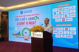 Vietnamese businesses have more opportunities to join carbon markets