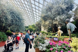 Singapore receives nearly half a million Vietnamese tourist arrivals yearly