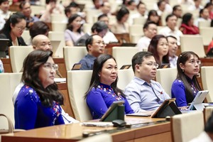 NA deputies propose continued extension of VAT reduction policy