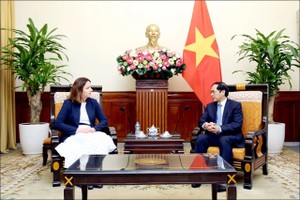 Vietnam wishes to strengthen multifaceted ties with Poland: FM