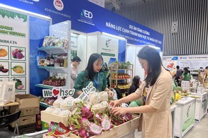 Vietnam among top 10 countries globally for e-commerce growth