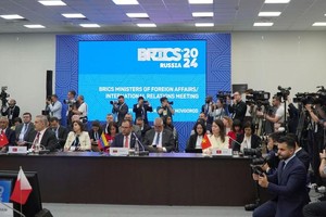 Vietnam attends BRICS Dialogue with Developing Countries