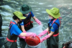 Young people enjoy summer vacation with meaningful deeds