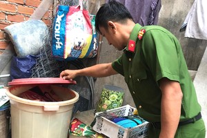 Strict penalties for violations against infectious disease prevention