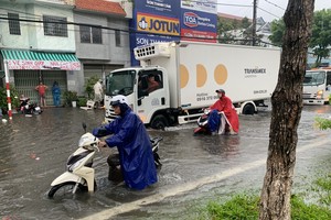 Heavy rain turns many streets in Mekong Delta into rivers