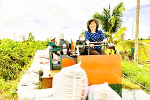 Related agencies work together to remove obstacles for rice project development