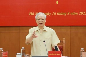 Solidarity needed to overcome difficulties under Party's leadership: scholars