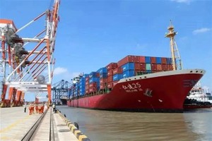 Vietnam's ports ready to welcome megaships