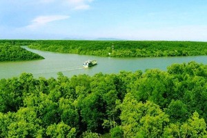 Vietnam needs about 150,000 workers to engage in carbon credit market