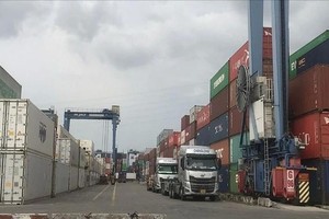 Vinamarine urges to clear containers stuck at ports for over 90 days
