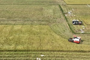 Ministry helps to raise farmers’ capacity in agricultural production