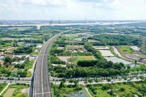 Experts propose advancing green transportation in various regions