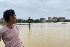 Favorable policies to be applied to help farmers in typhoon Yagi-stricken areas