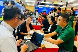 HCMC unveils incentive policies to draw foreign investment