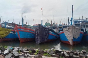 Project’s delays attribute to sluggish land clearance