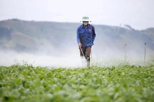 Over 80 percent of pesticide manufacturers switching to biological solutions