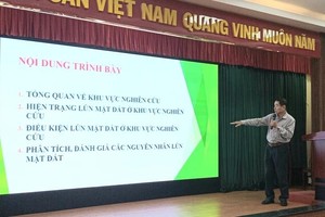 HCMC facing widespread land subsidence crisis