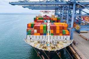 Vietnam's exports to CPTPP countries soar