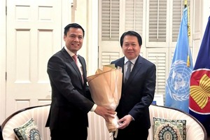 Vietnam, Laos strengthen special solidarity at UN