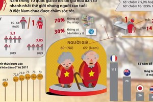 Ho Chi Minh City's population aging at fastest rate in Vietnam