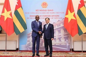 Vietnam, Togo develop relations in effective, substantive manner