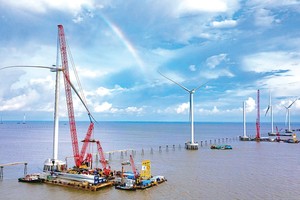 Wind farms driving Bac Lieu Province's socio-economic development 