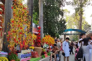 Patients enjoy spring flower street at Cho Ray Hospital