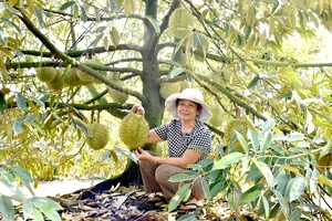 Brand building necessary for Vietnamese farm produce to increase competitiveness