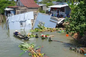 Forum aims to foster cooperation in building sustainable agriculture