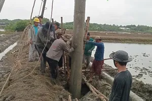 Can Gio residents celebrate arrival of electricity