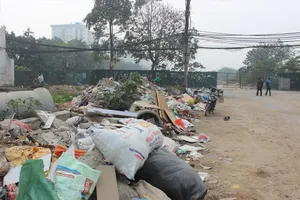 Deputy PM urges to combat environmental crimes