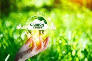 Vietnam’s carbon market development project approved