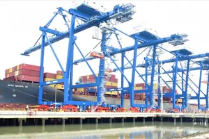 Dong Nai welcomes large-tonnage international cargo ship to Phuoc An Port