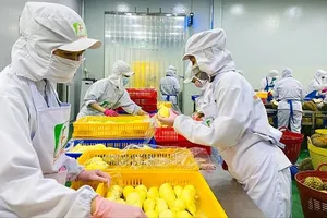 Ho Chi Minh City making strides in job creation this year