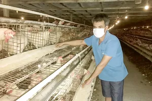 Singapore market presents opportunity for Vietnamese poultry products